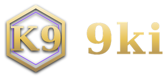 9ki logo